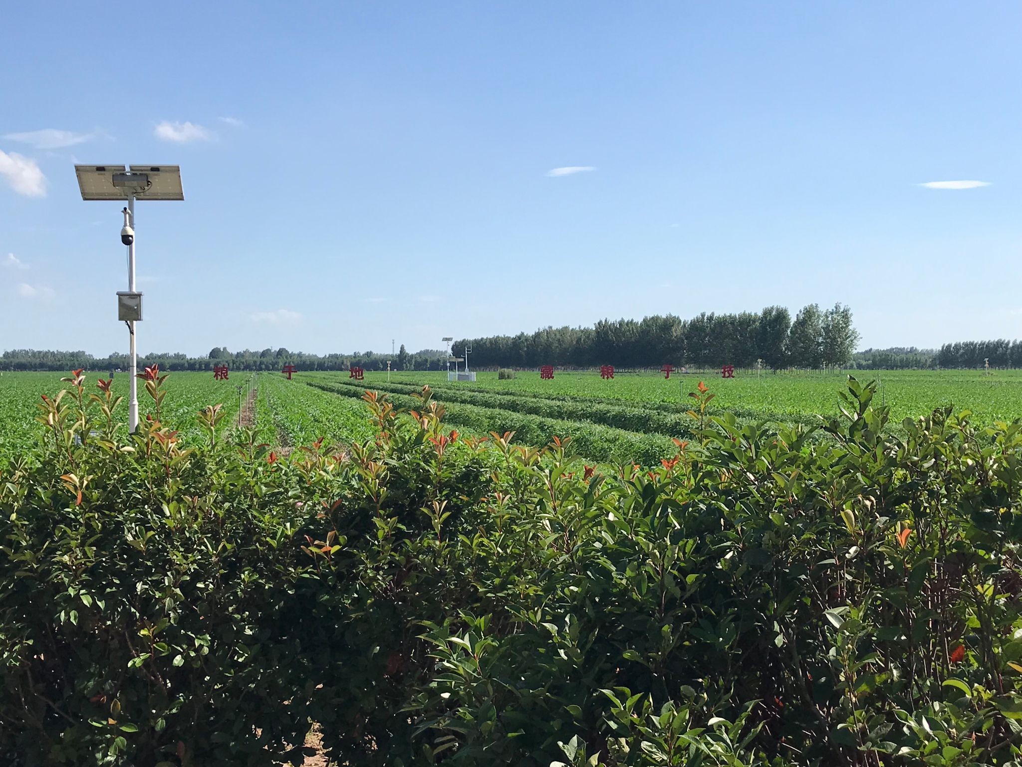 谈球吧体育app下载