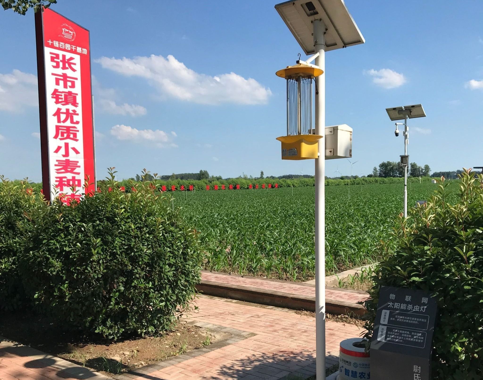 谈球吧体育app下载