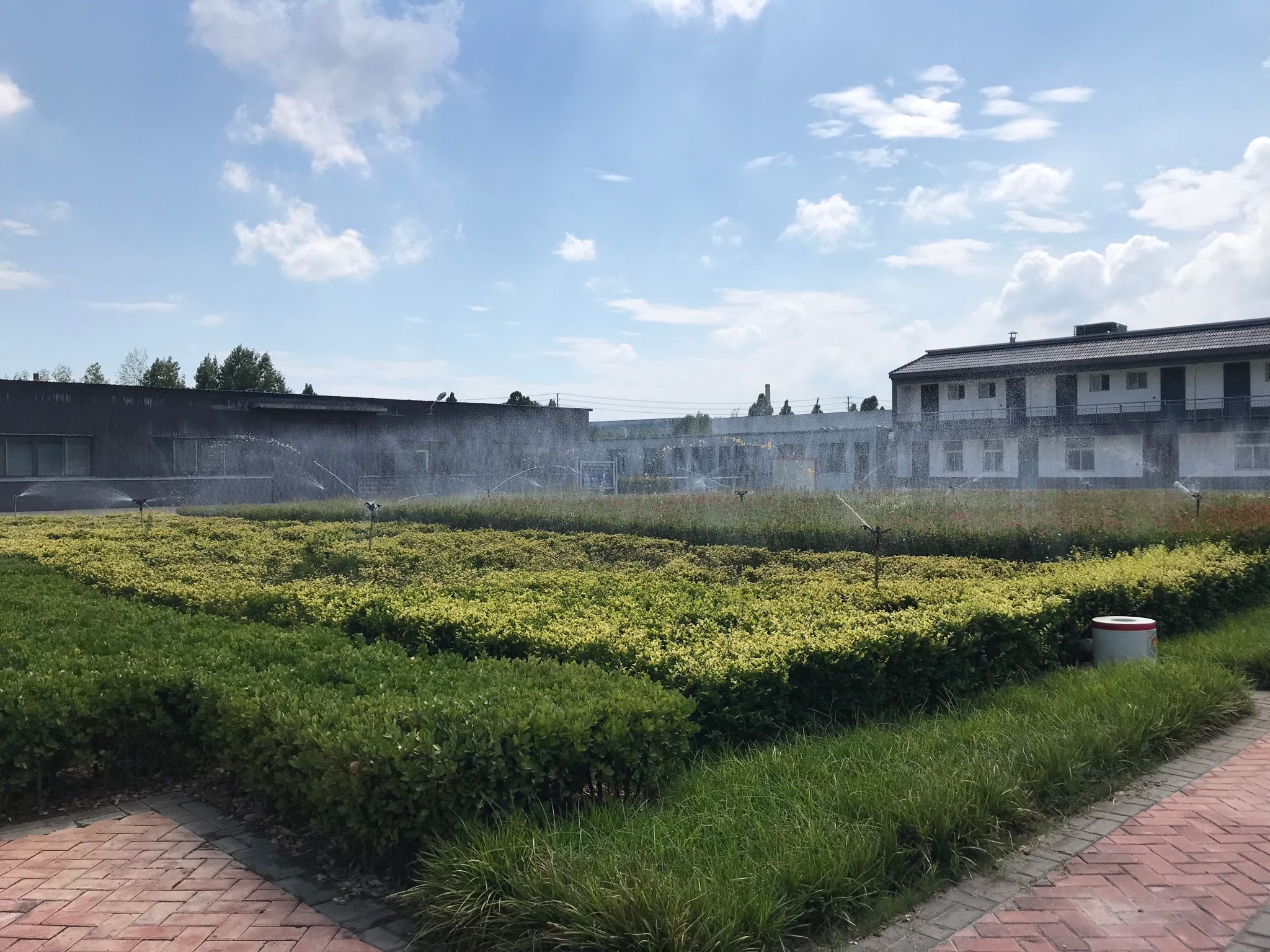 谈球吧体育app下载